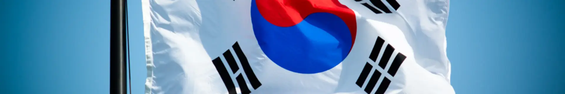 🇰🇷 South Korea